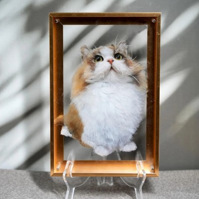 Personalized 3D Multi-Layered Pet Portraits The Best Memorial Gifts For Pet Lovers