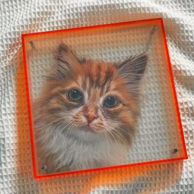 Personalized 3D Multi-Layered Pet Portraits The Best Memorial Gifts For Pet Lovers