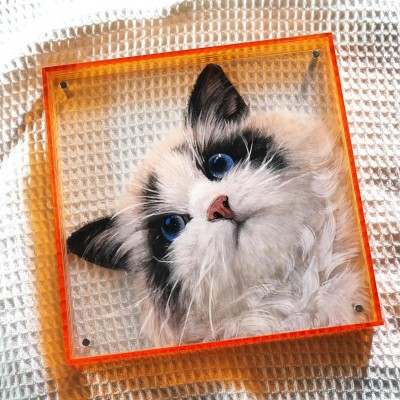 Personalized 3D Multi-Layered Pet Portraits The Best Memorial Gifts For Pet Lovers