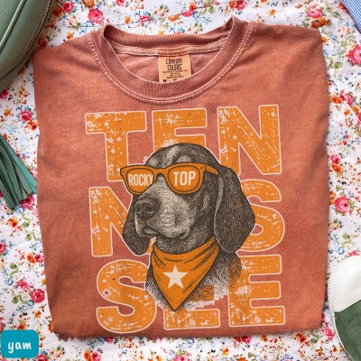 University Of Tennessee Volunteers Football Sweatshirt Best Gift For Fans
